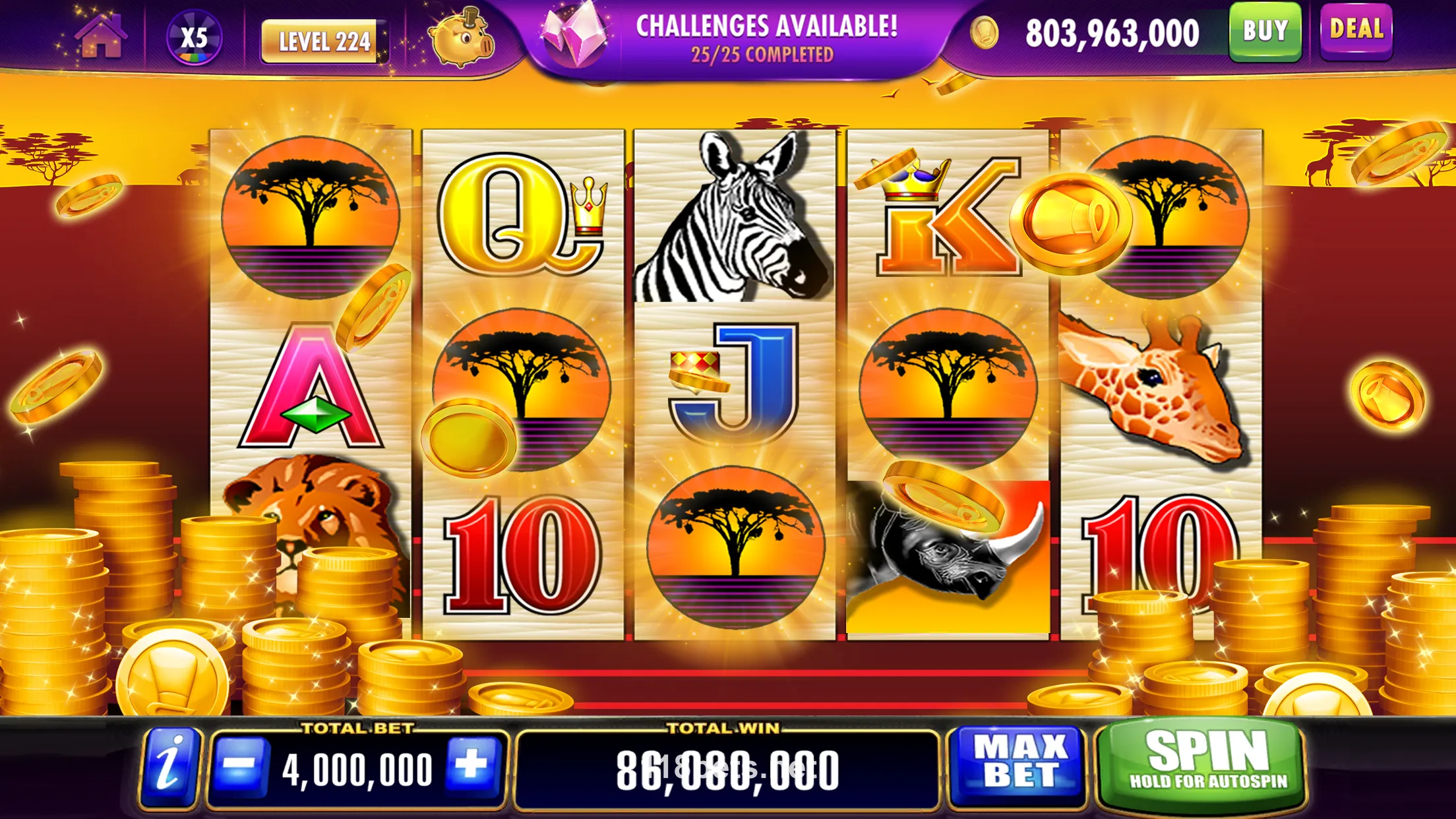 Recursos exclusivos do app 118bet