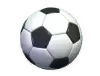 Apostas Esportivas